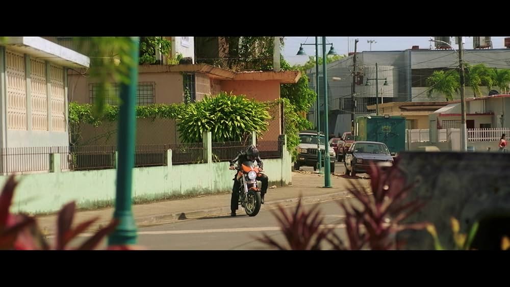 ブルービートルの画像