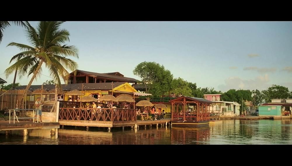 ブルービートルの画像