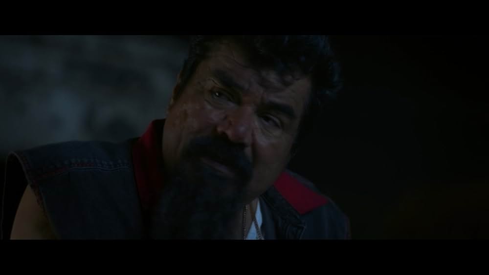 ブルービートルの画像