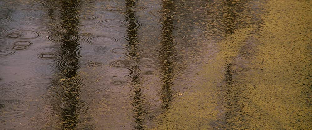 セルフィッシュ・サマー ホントの自分に向き合う旅の画像