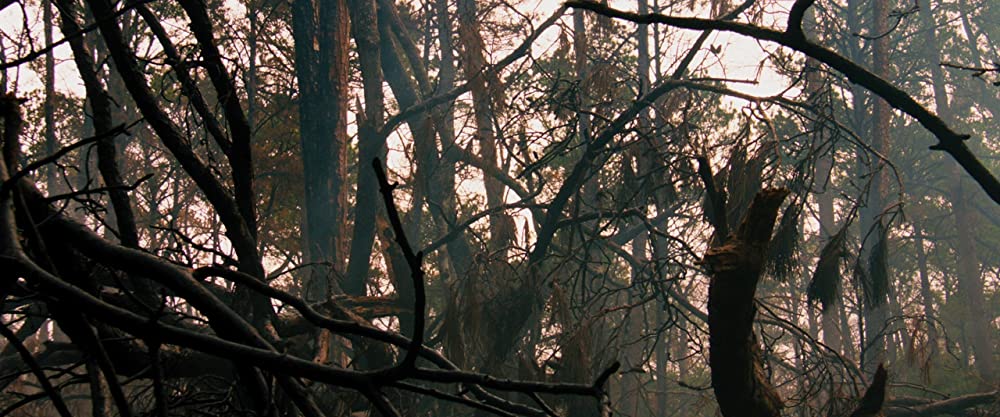 セルフィッシュ・サマー ホントの自分に向き合う旅の画像