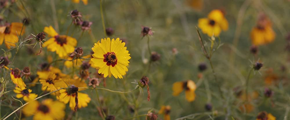 セルフィッシュ・サマー ホントの自分に向き合う旅の画像