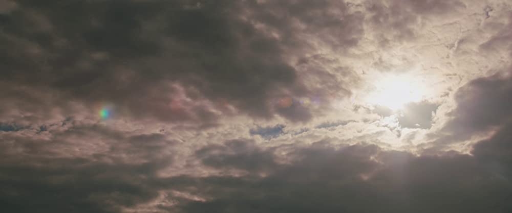 セルフィッシュ・サマー ホントの自分に向き合う旅の画像