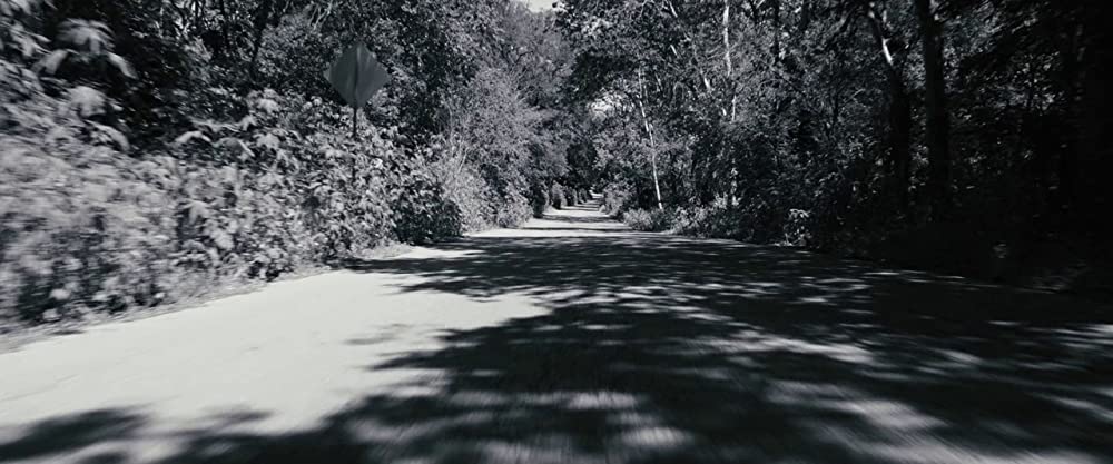 セルフィッシュ・サマー ホントの自分に向き合う旅の画像