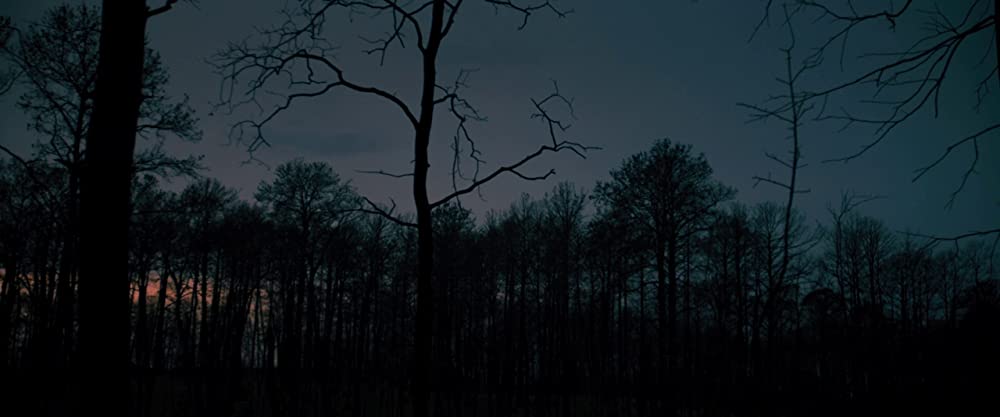 セルフィッシュ・サマー ホントの自分に向き合う旅の画像