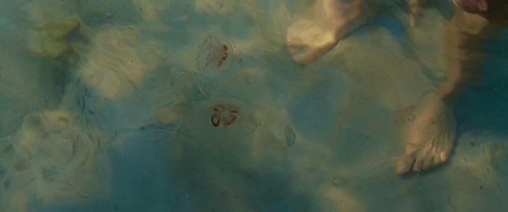 ベルイマン島にての画像