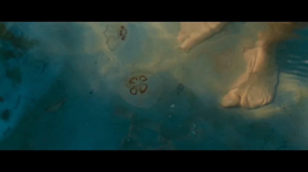 ベルイマン島にての画像