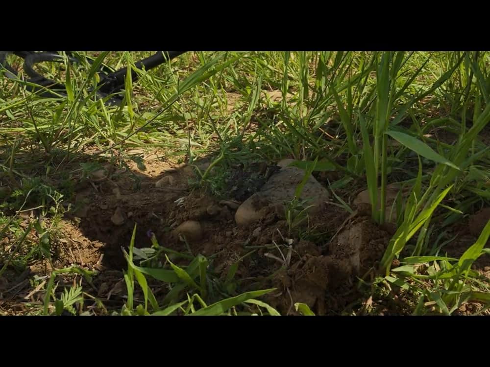 パラレル・マザーズの画像