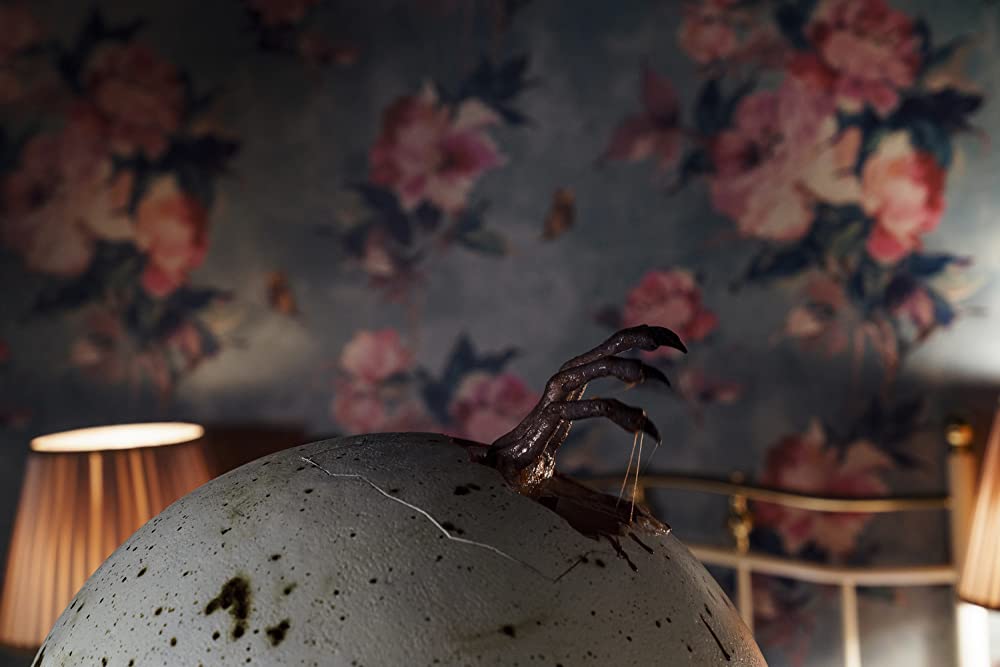 ハッチング―孵化―の画像