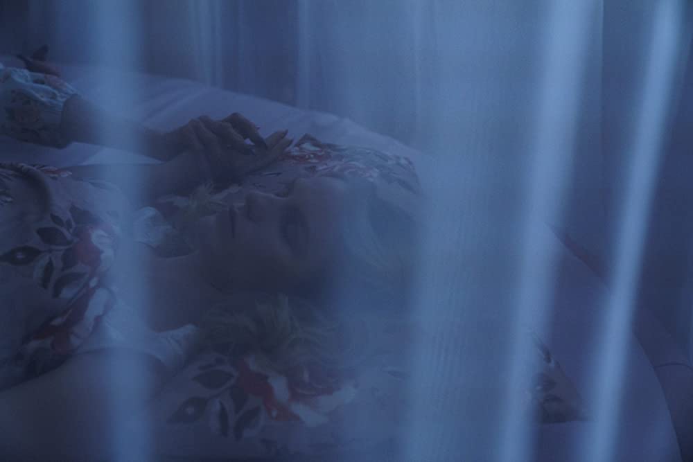 ハッチング―孵化―の画像