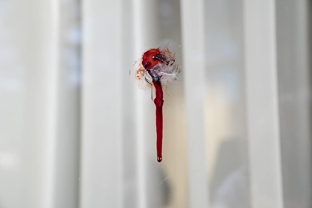 ハッチング―孵化―の画像