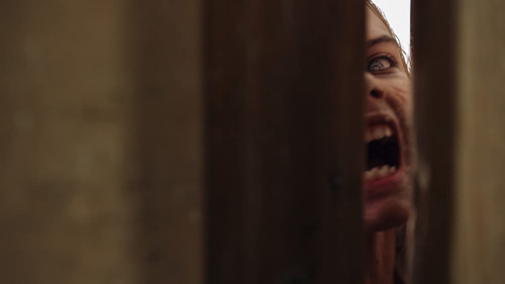 ハッチング―孵化―の画像