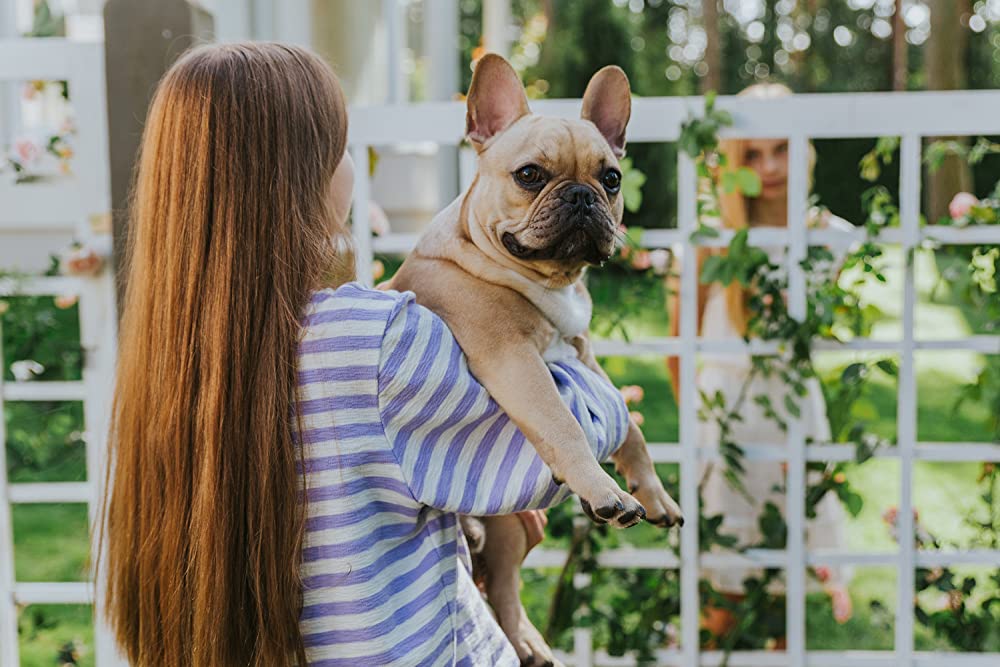 ハッチング―孵化―の画像
