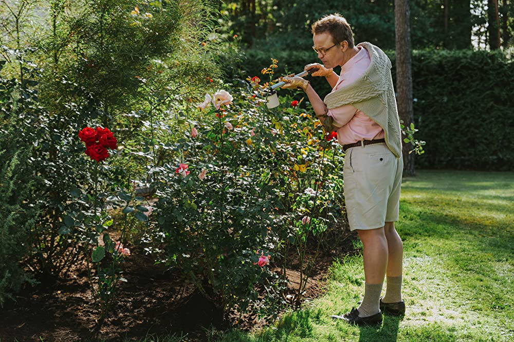 ハッチング―孵化―の画像