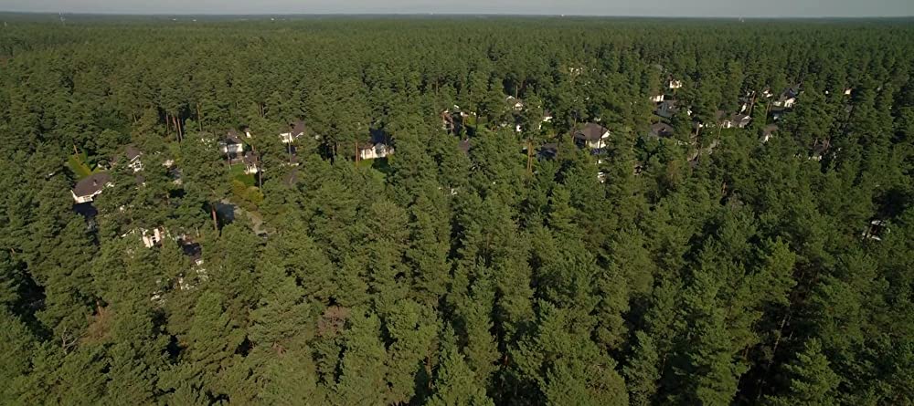 ハッチング―孵化―の画像