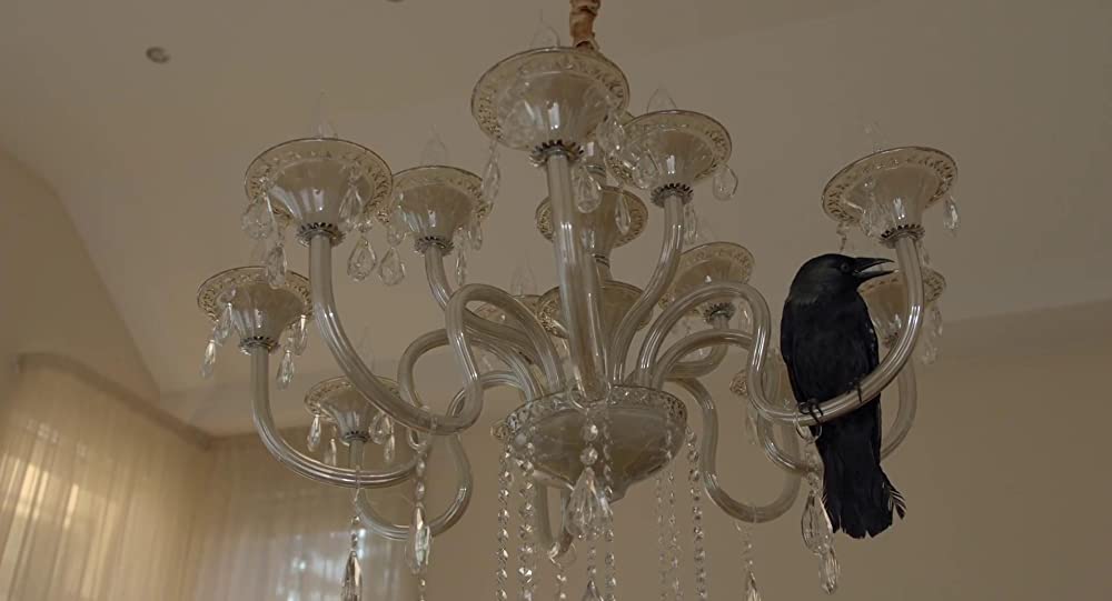 ハッチング―孵化―の画像