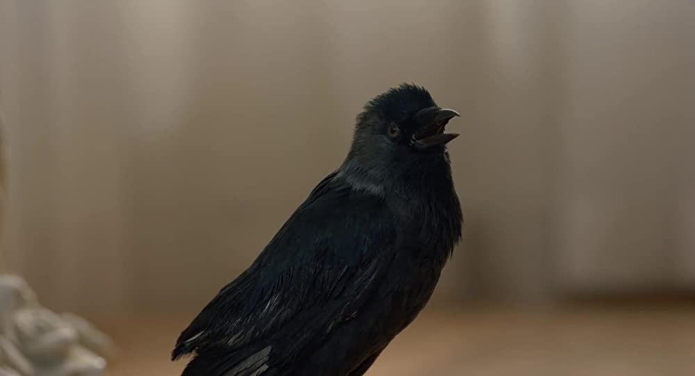 ハッチング―孵化―の画像