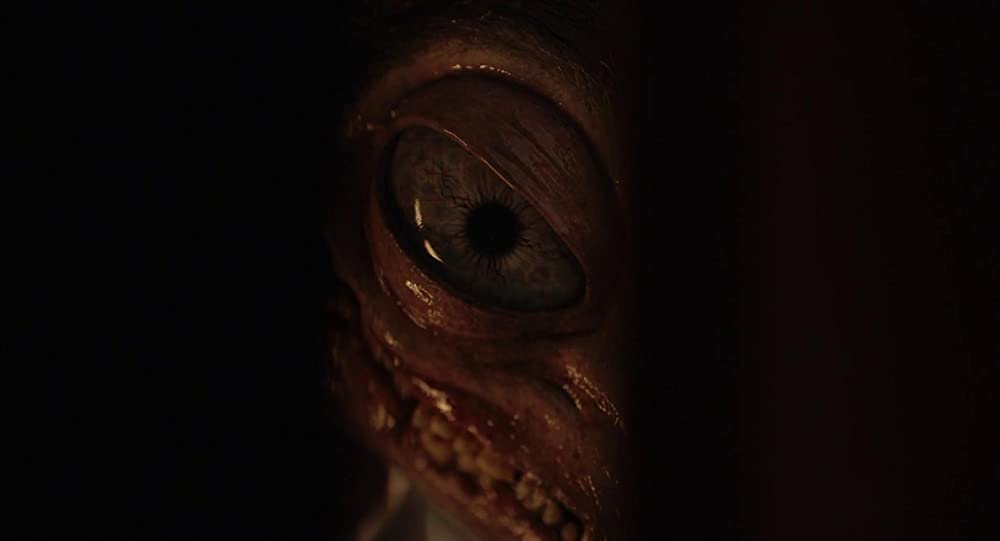 ハッチング―孵化―の画像