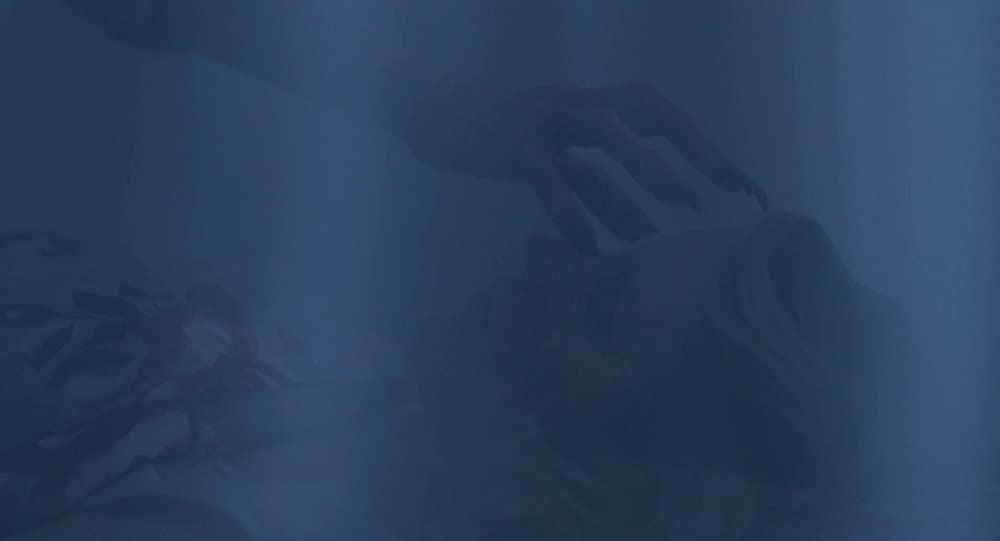 ハッチング―孵化―の画像