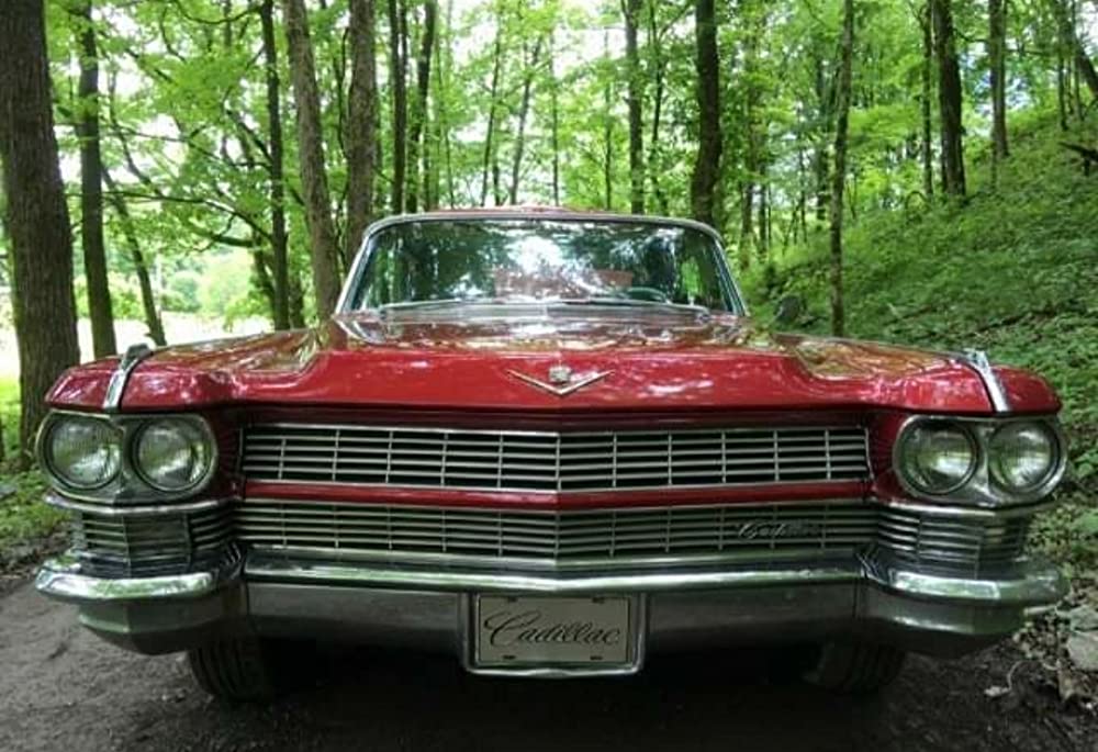 KKKをぶっ飛ばせ！の画像