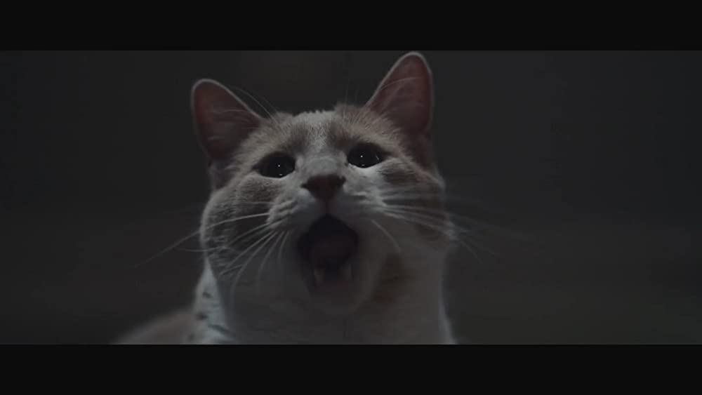 ムーンフォールの画像