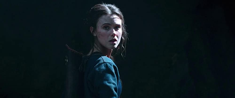 ライジング・ホーク 猛軍襲来の画像