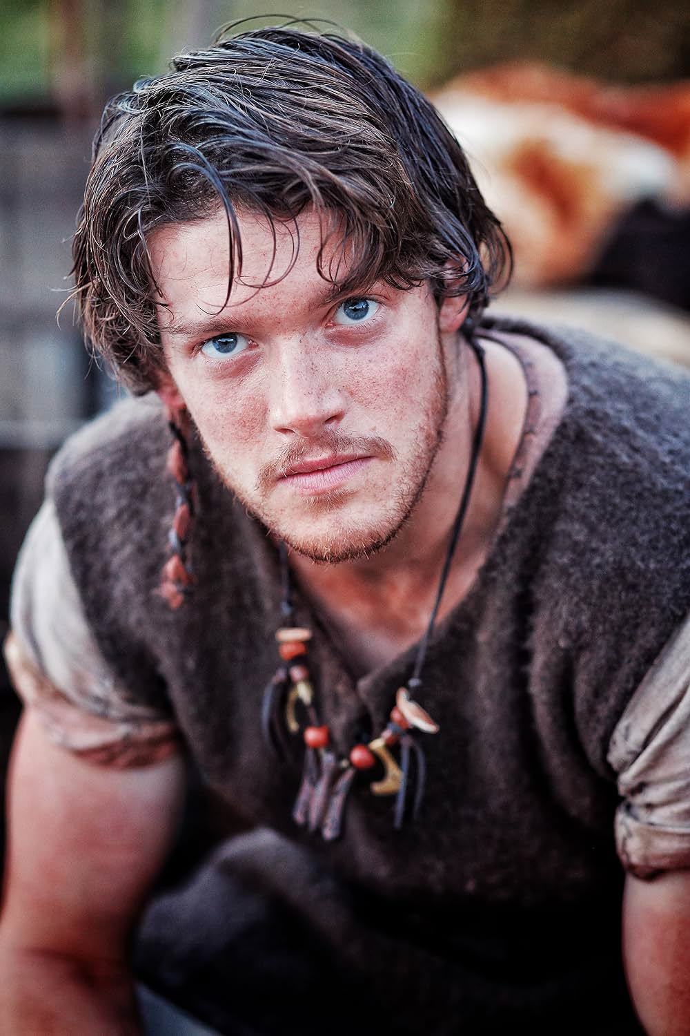 ライジング・ホーク 猛軍襲来の画像