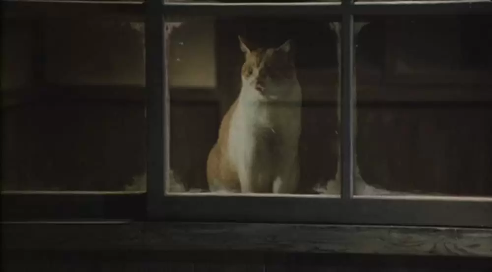 「まあだだよ」の画像