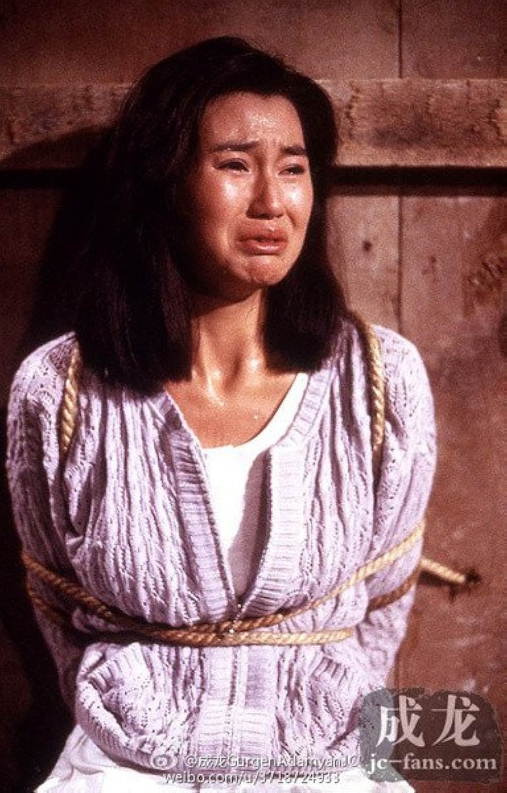 ポリスストーリー2／九龍の眼 クーロンズ・アイの画像