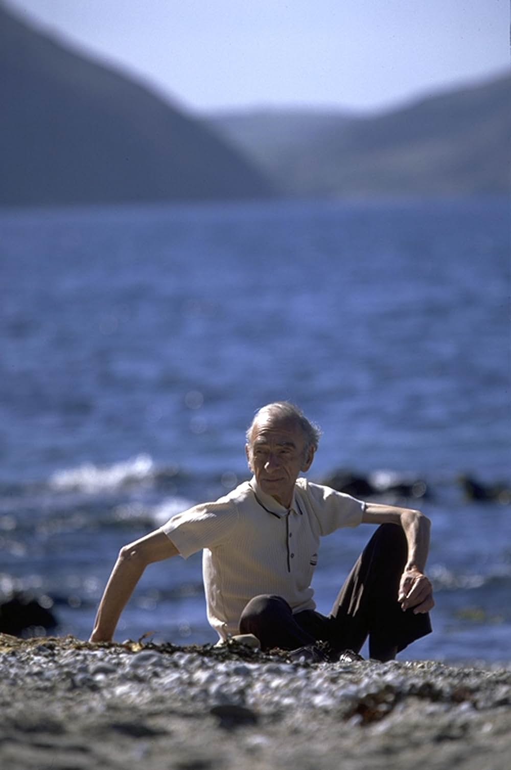 ウェイクアップ！ネッドの画像