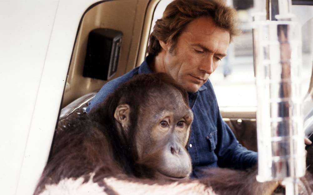 ダーティファイターの画像