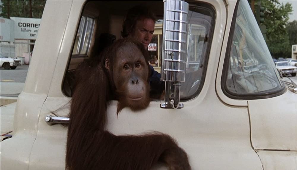 ダーティファイターの画像