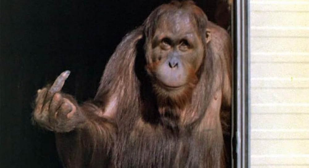 ダーティファイターの画像