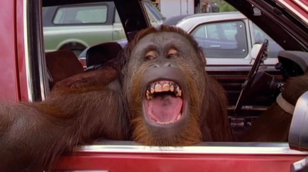 ダーティファイターの画像