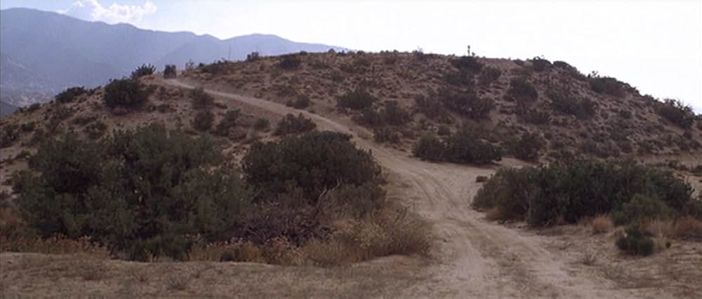 おかしなレディ・キラーの画像