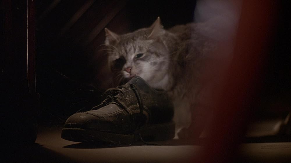 恐怖のいけにえの画像