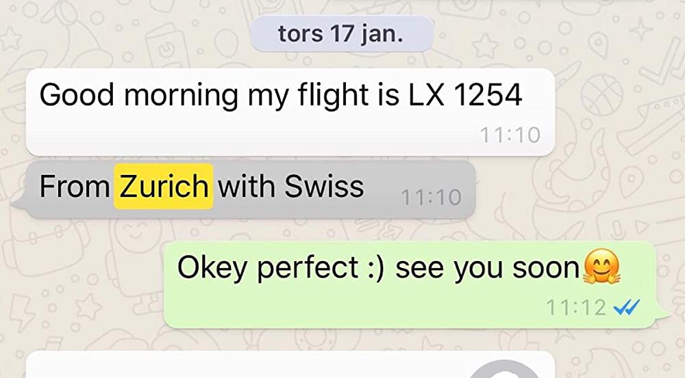 Tinder詐欺師：恋愛は大金を生むの画像