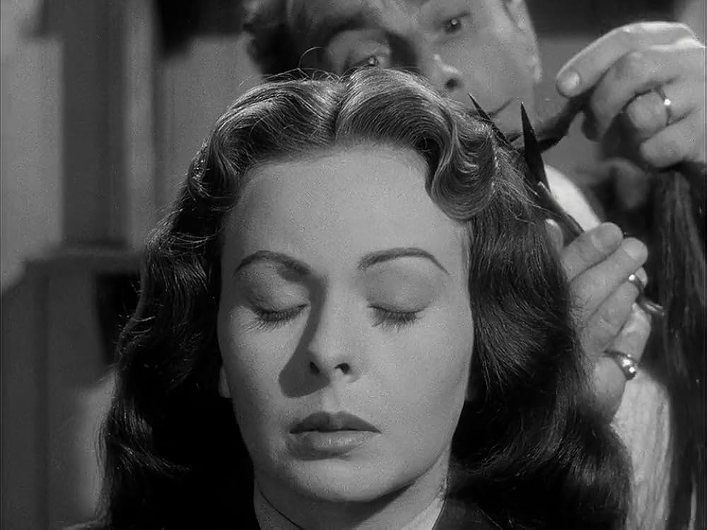 人生模様の画像