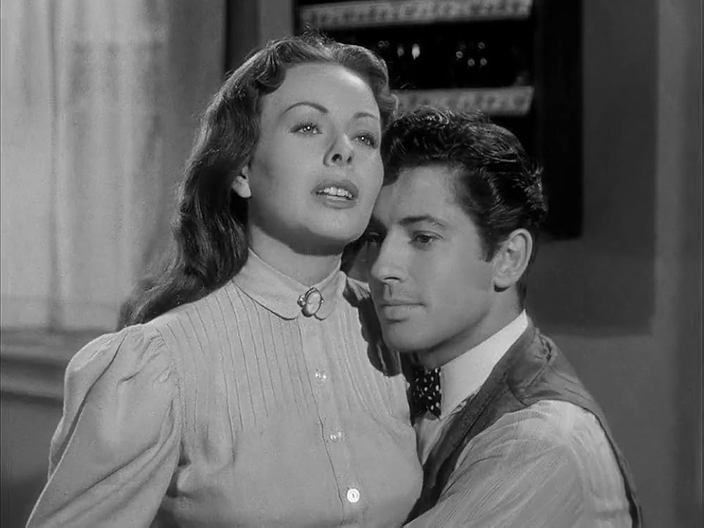 人生模様の画像