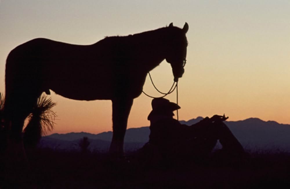 トム・ホーンの画像