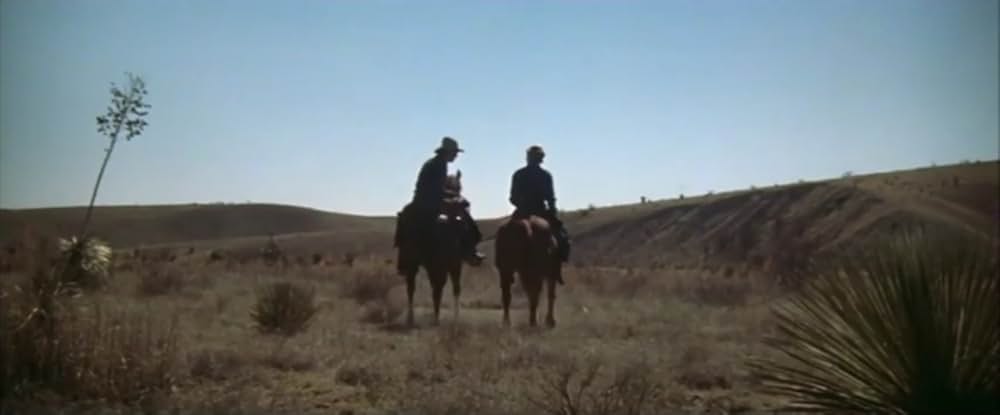 トム・ホーンの画像