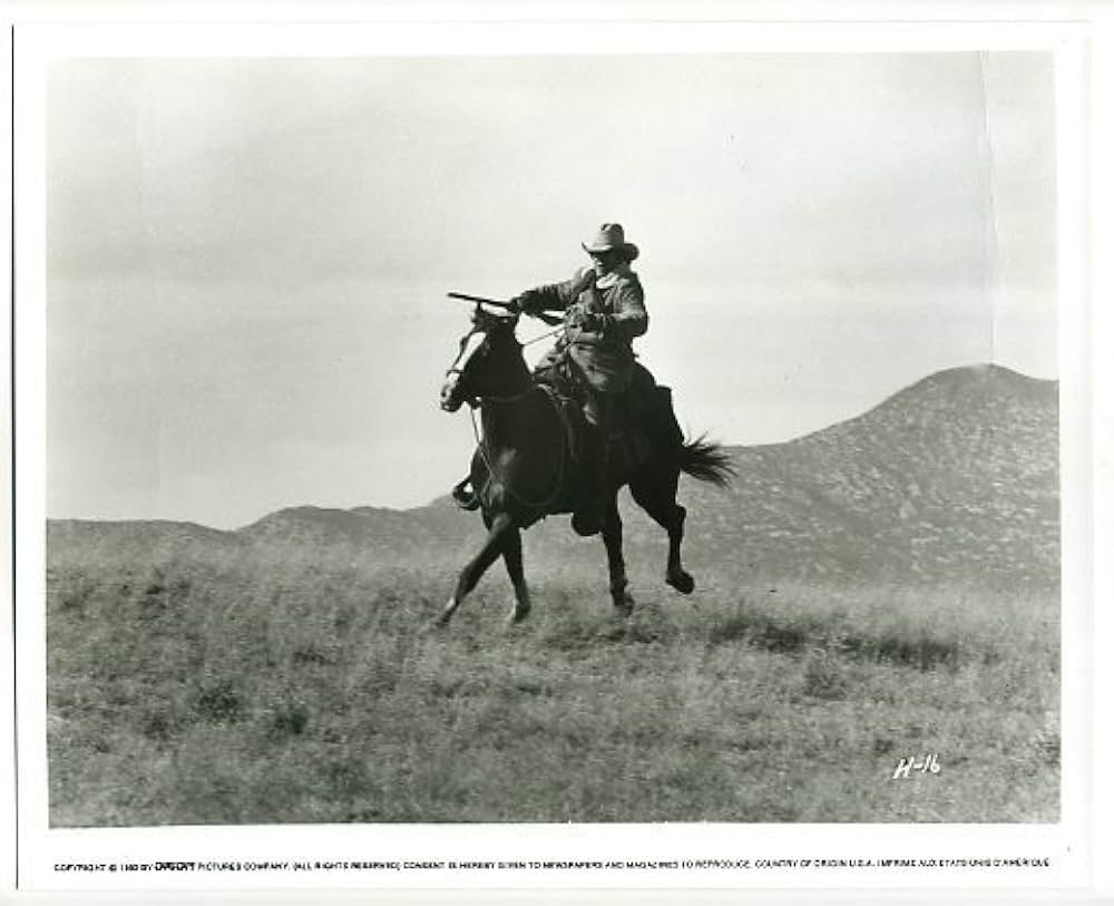 トム・ホーンの画像