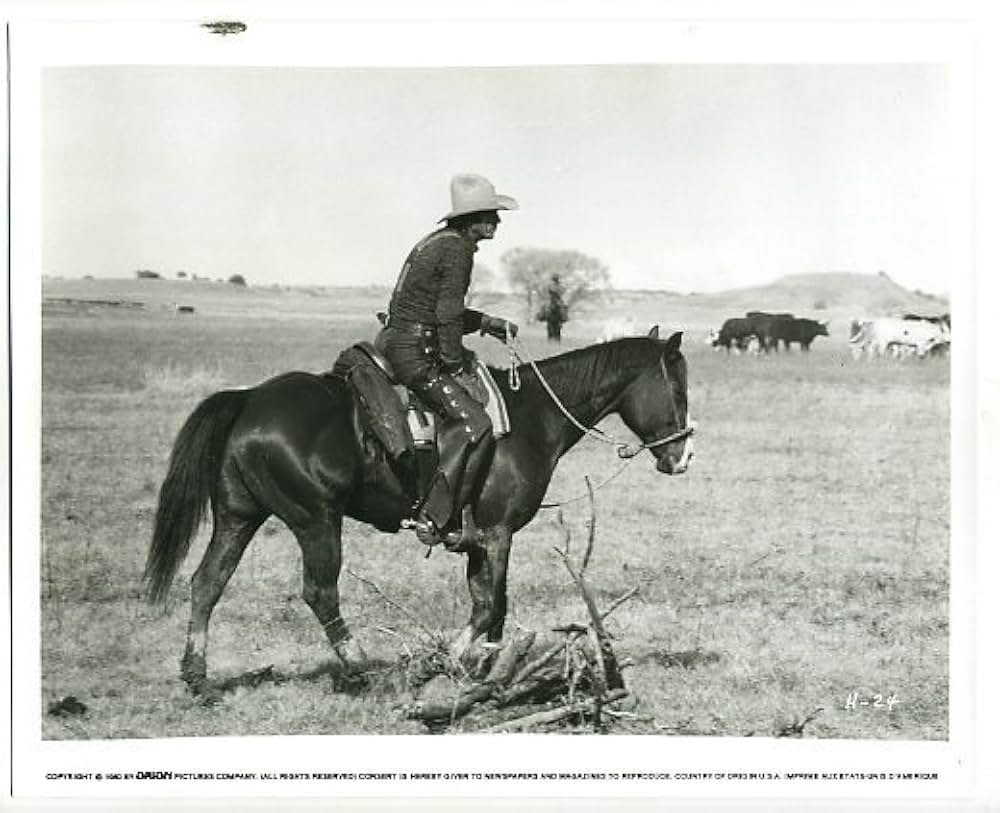 トム・ホーンの画像