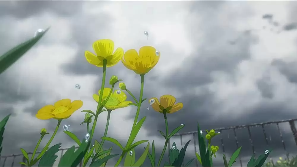 天気の子の画像