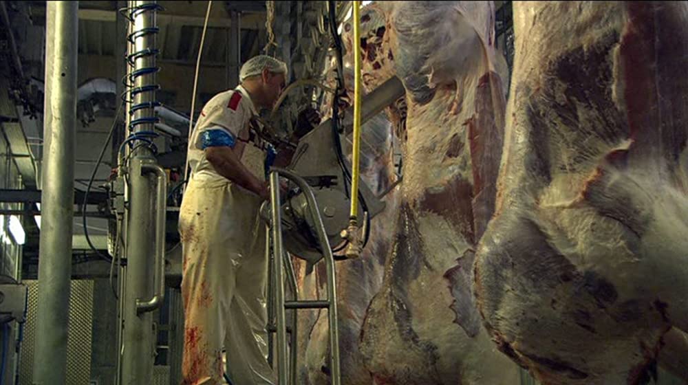 いのちの食べかたの画像