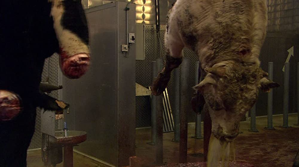 いのちの食べかたの画像