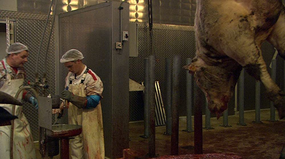 いのちの食べかたの画像