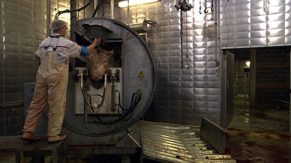 いのちの食べかたの画像