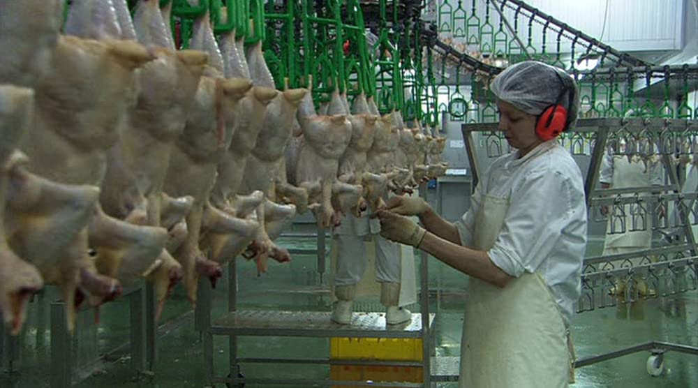 いのちの食べかたの画像