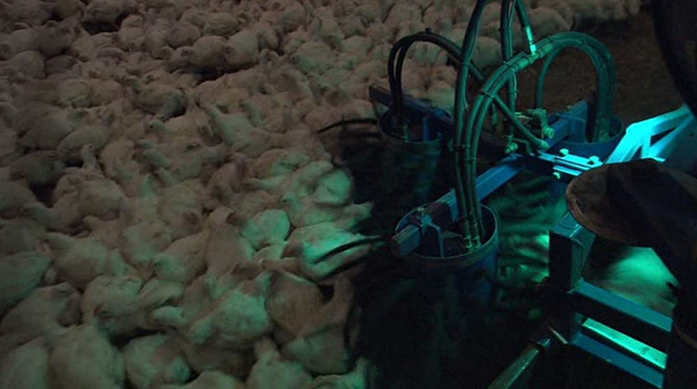 いのちの食べかたの画像